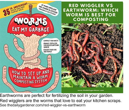 Earthworms to fertilize the soil. Red wigglers for making compost from food scraps.